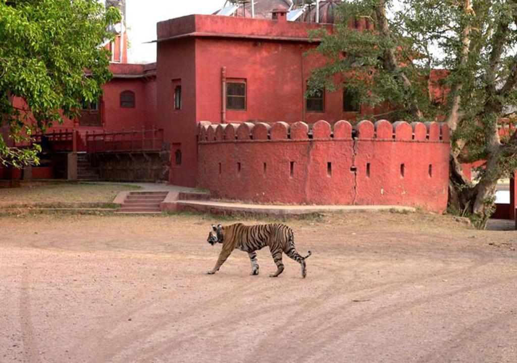 Green View Bed & Breakfast Sawai Madhopur Exterior photo